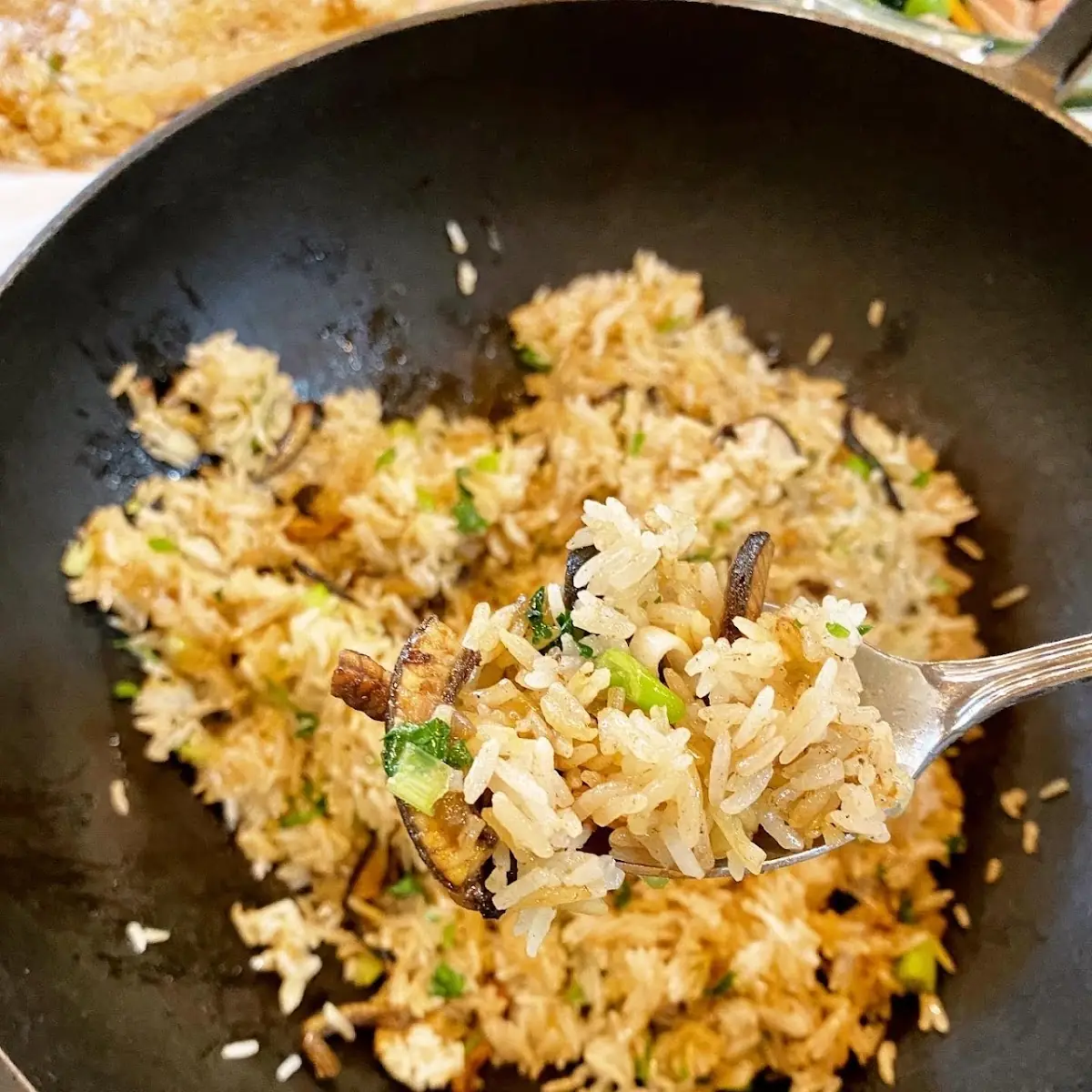 salted fish & chicken fried rice 咸鱼鸡炒饭
